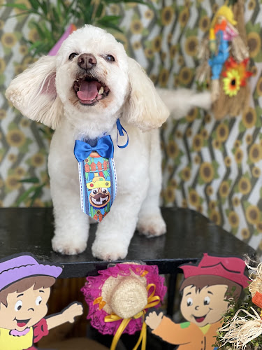 Banho E Tosa PATRULHA CANINA — Banho e tosa
